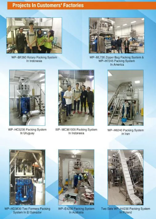 Multi Functional Packing Machine with Conveyor Working Platform Multiheads Weigher Auger Filler Liquid Pump Linear Weight Cup Filler Rotary Collector Supplier